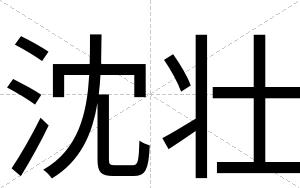 沈壮