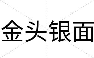 金头银面
