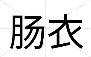 肠衣