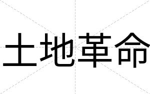 土地革命