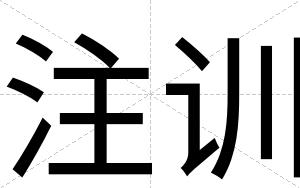 注训