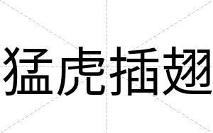 猛虎插翅