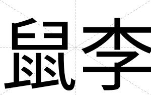 鼠李