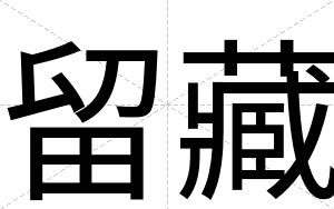留藏