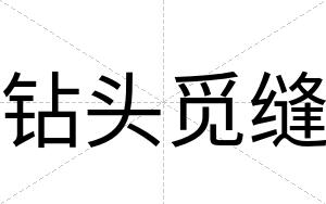 钻头觅缝