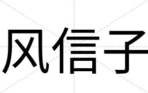 风信子