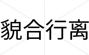 貌合行离