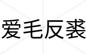爱毛反裘