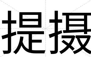 提摄