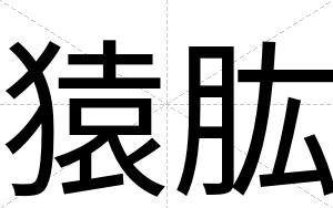 猿肱