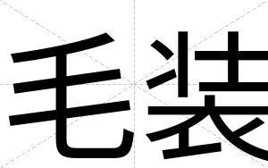 毛装