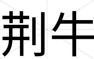 荆牛