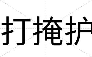 打掩护