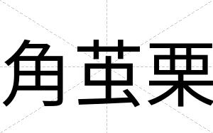 角茧栗