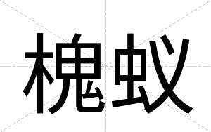 槐蚁