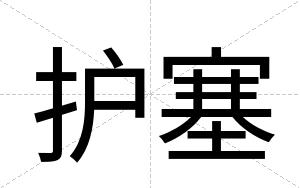 护塞