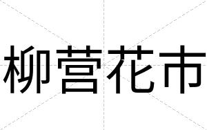柳营花市