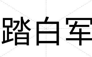 踏白军