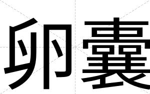卵囊