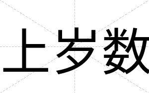 上岁数