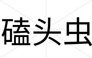 磕头虫