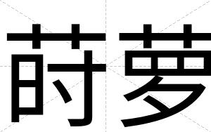 莳萝