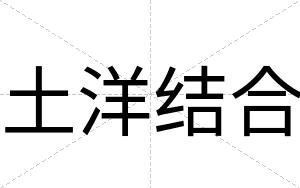 土洋结合