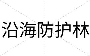沿海防护林