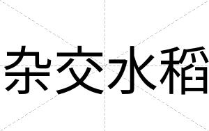 杂交水稻