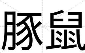 豚鼠