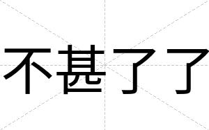 不甚了了