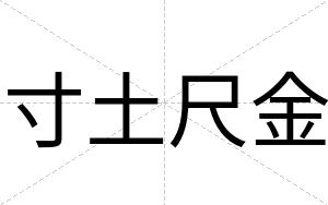 寸土尺金