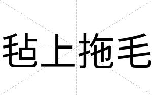 毡上拖毛