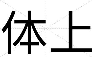 体上