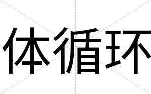 体循环