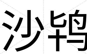 沙鸨