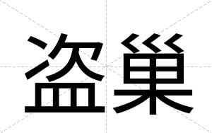 盗巢
