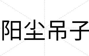 阳尘吊子