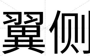翼侧