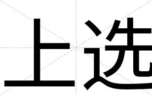 上选