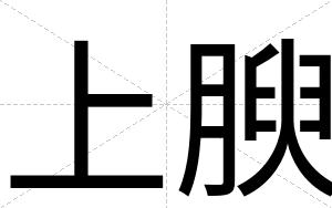 上腴