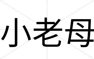 小老母