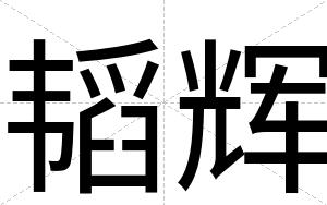 韬辉