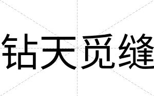钻天觅缝