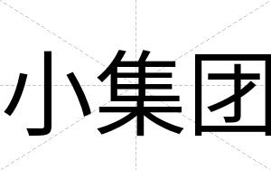 小集团