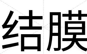 结膜