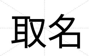 取名