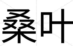 桑叶