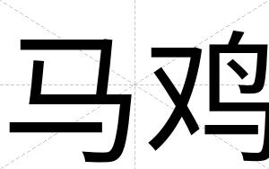 马鸡