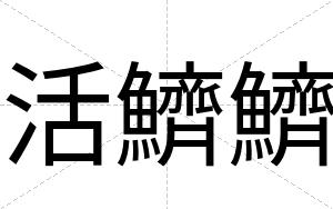 活鱭鱭